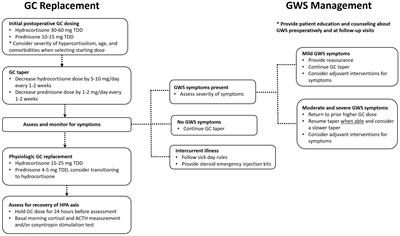 Challenges in the postsurgical recovery of cushing syndrome: glucocorticoid withdrawal syndrome